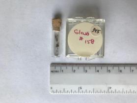 Glass (glass group)