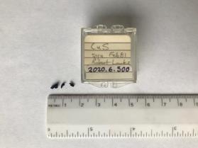 Covellite, synthetic