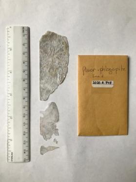 Fluorphlogopite