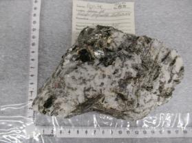 annite