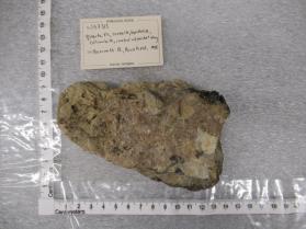 quartz xls, cookeite, lepidolite, columbite, coated w/ pocket clay