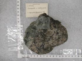 fluorapatite in smoky quartz