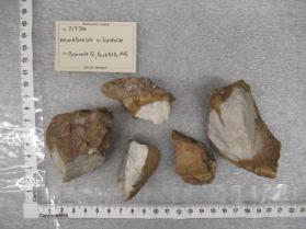 montebrasite in lepidolite