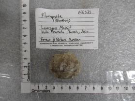Fluorapatite