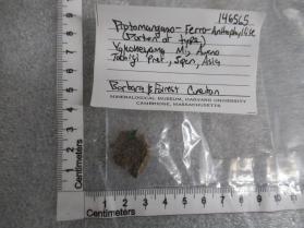 Protomangano-Ferro-Anthophyllite