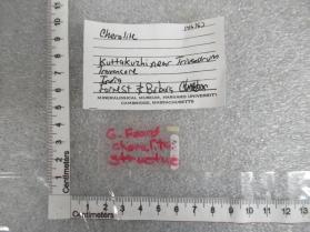 Cheralite