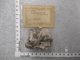 oligoclase and microcline