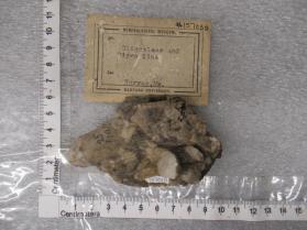oligoclase and microcline