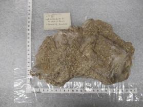 hydroxylherderite xls on albite w/ quartz xls