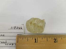 BERYL