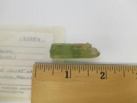 BERYL