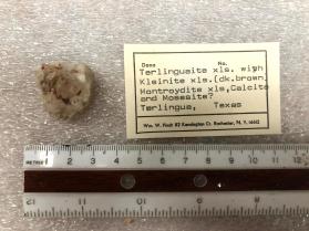 Terlinguaite xls with Kleinite xls (dk brown), Montroydite xls, Calcite and Mosesite?