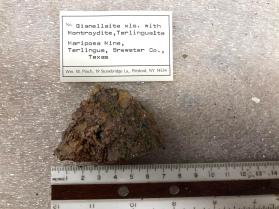 Gianellaite xls with Montroydite, Terlinguaite