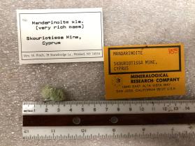 Mandarinoite xls