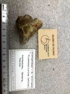 Plumbotellurite (white)