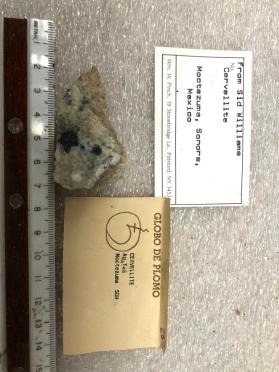 Cervellite