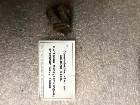 Comancheite xls On Calcite xled 