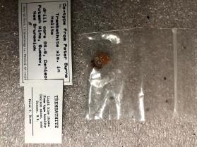 Trembathite xls in Halite