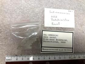 Sal-Ammoniac