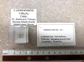 Cadmoindite xl.