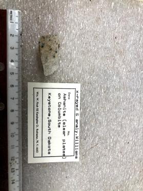 Ashanite (clear plates) on Columbite