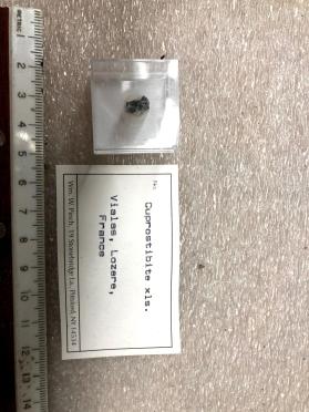 Cuprotsitbite xls.