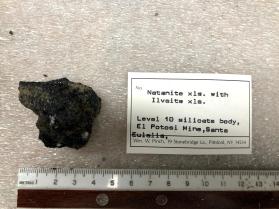 Natanite xls. with Ilvaite xls