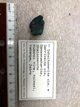 Cobaltomenite xls. with Demesmaekerite xls., Derriksite xls., Chalcomenite