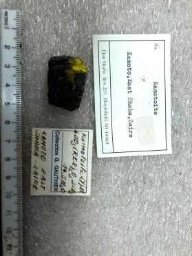 Kamotoite