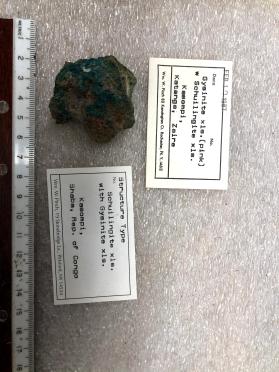Schuilingite xls. with Gysinite xls.