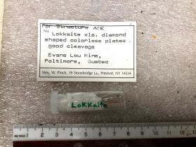 Lokkaite xls. 