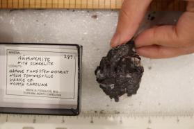 Hubnerite with Scheelite