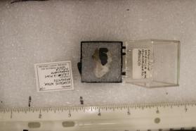 Acanthite
