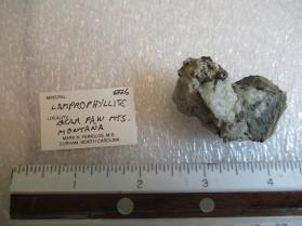 Lamprophyllite