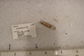 Danburite