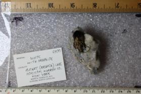 Uvite