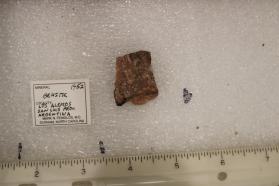 Beusite with Lithiophilite