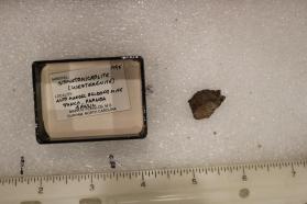 Bismutomicrolite