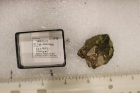 Bravoite In Chalcopyrite