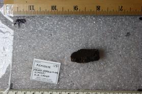 Renierite
