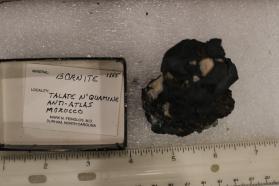 Bornite