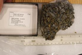 Chalcopyrite with Galena