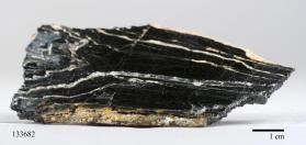 Columbite-(Fe)