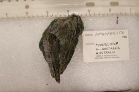 Anthophyllite