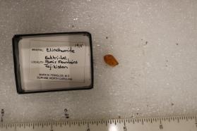 Clinohumite