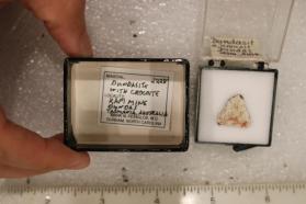 Dundasite