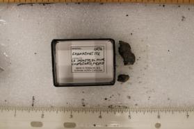 Guanajuatite (2 pieces)