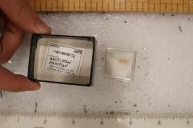 Hambergite