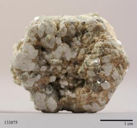 Muscovite