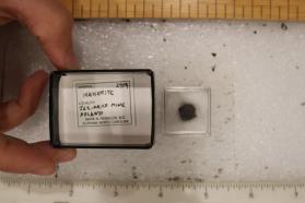 Hauerite